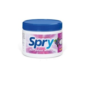 Berry Xylitol Mints