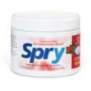 Cinnamon Xylitol Gum