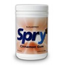 Cinnamon Xylitol Gum